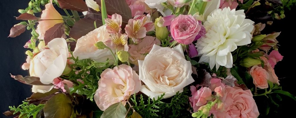 Blossoming Excellence: The Story of Mister Botanical