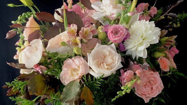 Blossoming Excellence: The Story of Mister Botanical